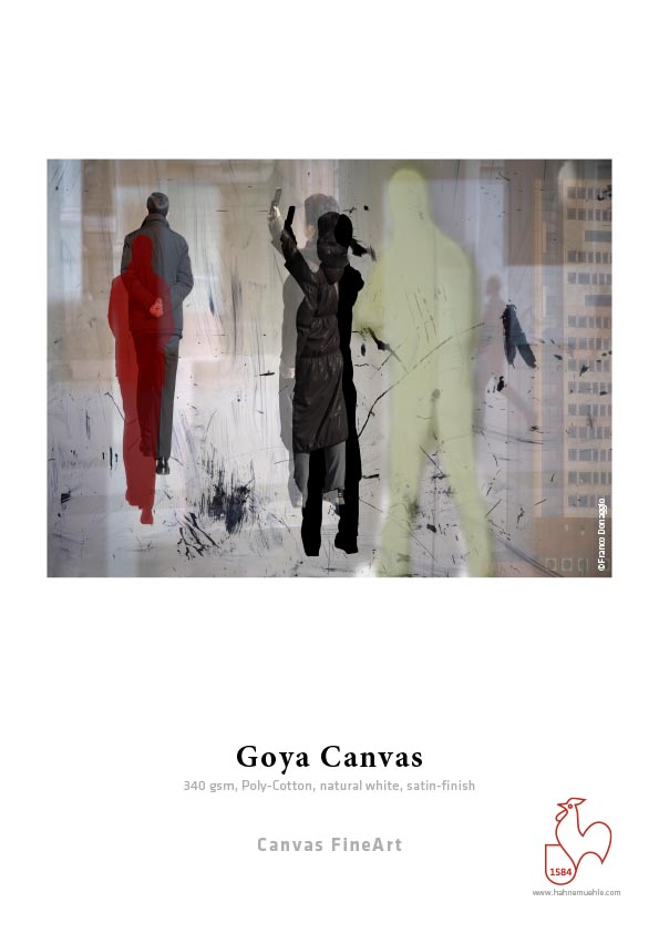 Hahnem�hle DFA Goya Canvas 340gsm